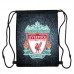 Сумка для обуви ФК Ливерпуль (FC Liverpool 008), 410 х 300 мм