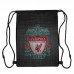 Сумка для обуви ФК Ливерпуль (FC Liverpool 002), 410 х 300 мм