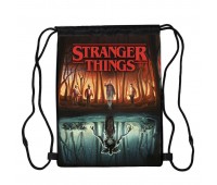 Сумка для обуви Очень странные дела (Stranger Things 01), 410 х 300 мм